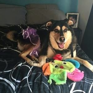 Meet your Posher, Hollie